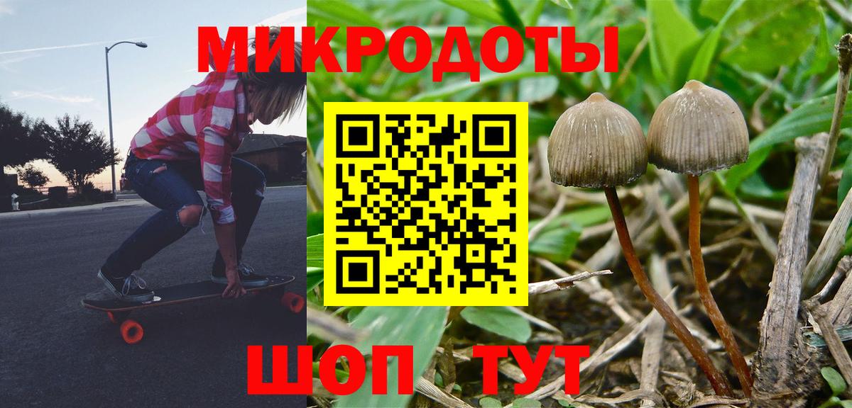 цены   Галлюциногенные грибы Psilocybine cubensis  Вход с VPN  Красноармейск  Псилоцибиновые грибы прущие грибы 