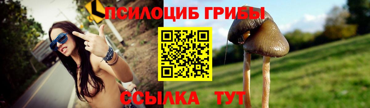 Псилоцибиновые грибы мухоморы Красноармейск
